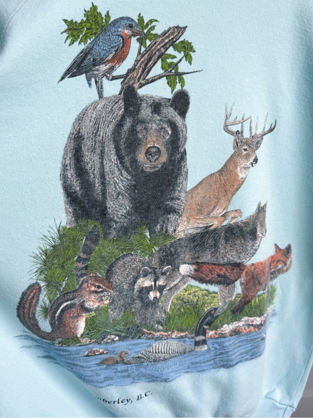 Vtg 1989 Harlequin Nature Graphics Wildlife Bear Moose Sweatshirt M Seafoam Aqua - Picture 4 of 13